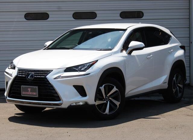 Lexus NX250 2018 Hybrid